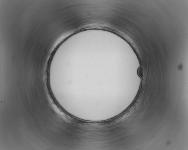 X0000116821042201001291618