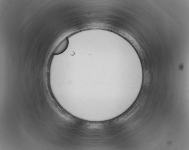 X0000116821043201001291618