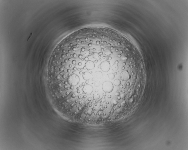 X0000116821044201001291618