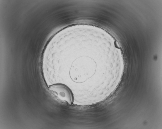 X0000116821045201001291618