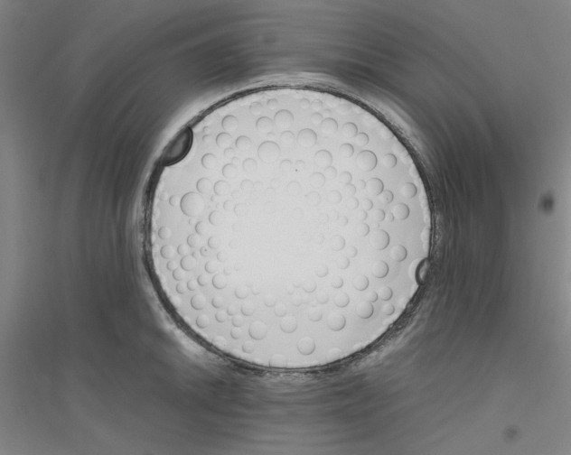 X0000116821046201001291618