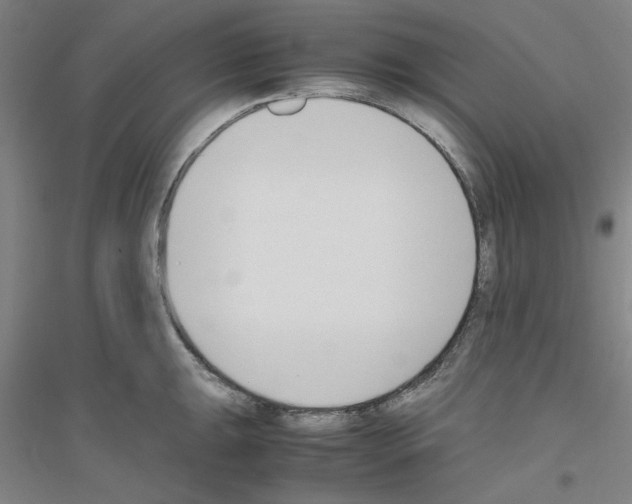 X0000116821047201001291618