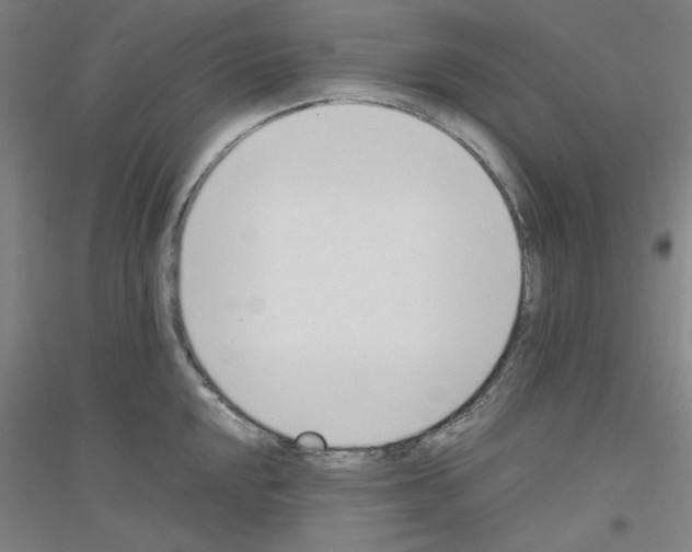 X0000116821048201001291618