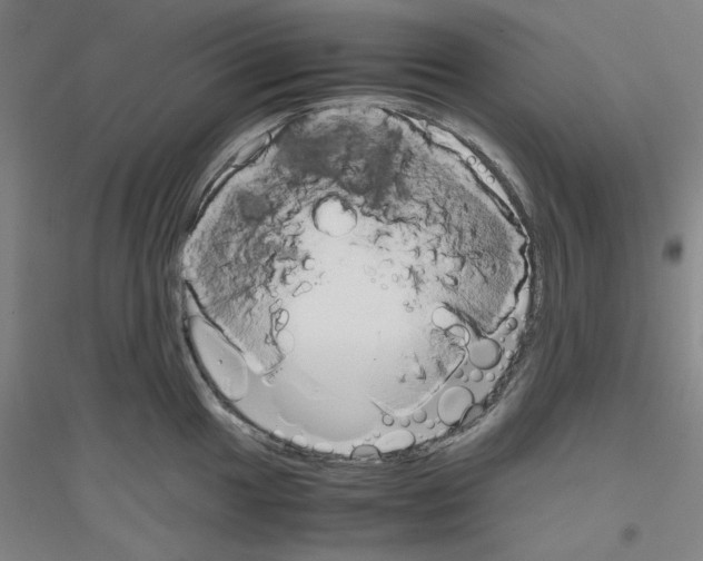 X0000116821049201001291618