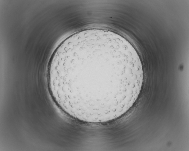 X0000116821050201001291618