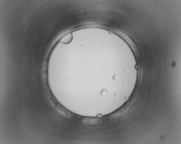 X0000116821051201001291618