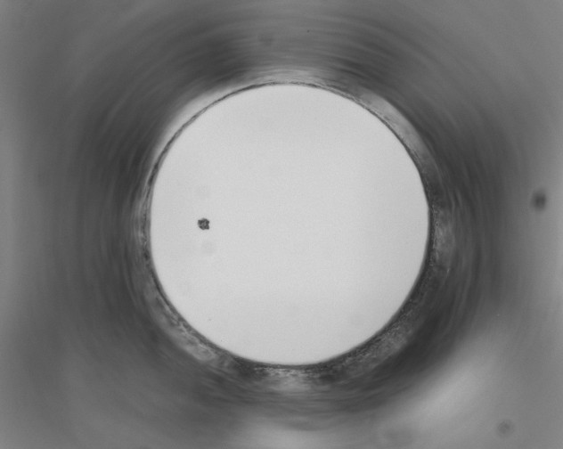 X0000116821052201001291618