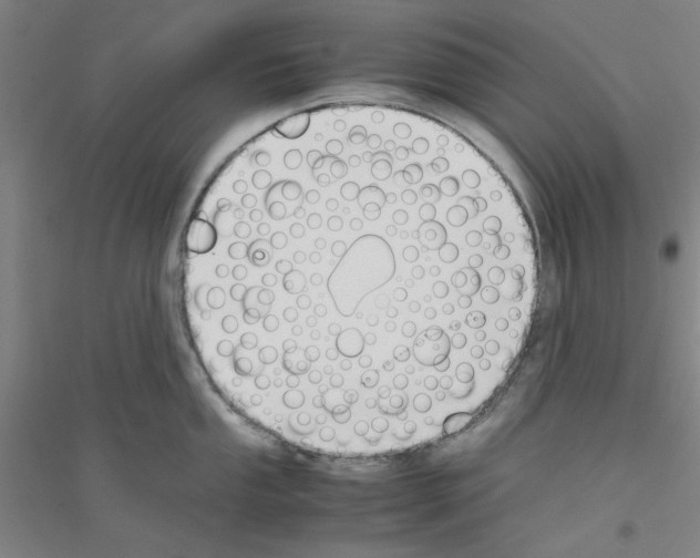 X0000116821053201001291618