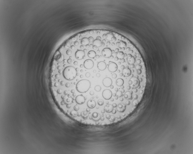 X0000116821054201001291618