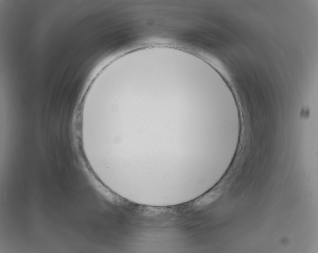 X0000116821056201001291618