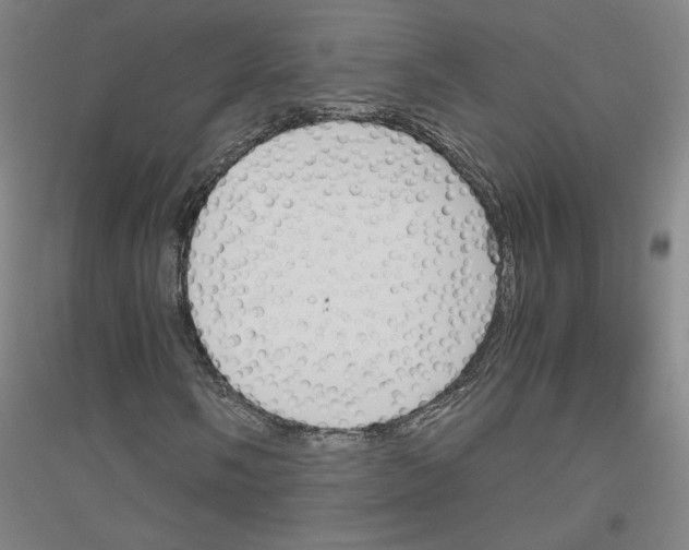 X0000116821058201001291617