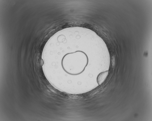 X0000116821059201001291617