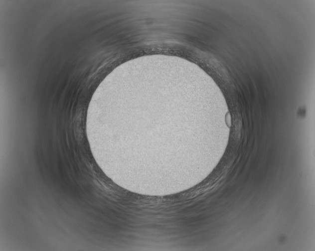 X0000116821060201001291617