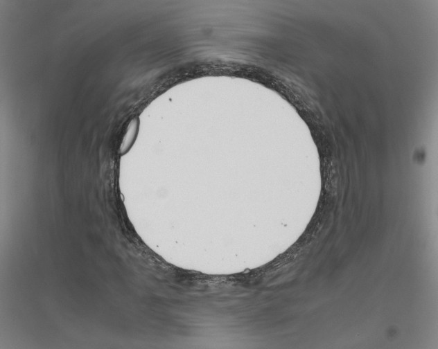 X0000116821061201001291617