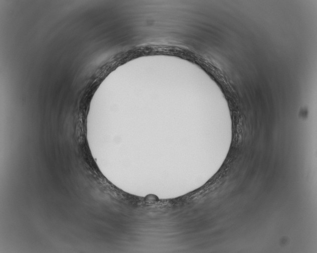 X0000116821062201001291617