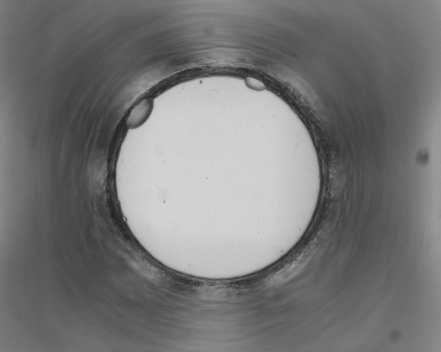 X0000116821065201001291617