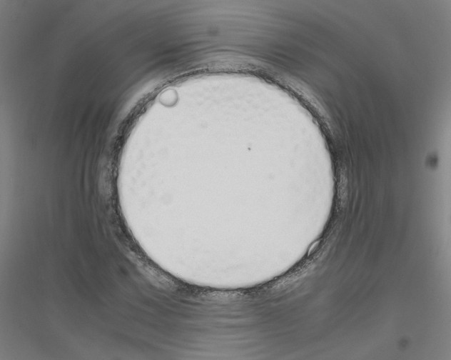 X0000116821067201001291617