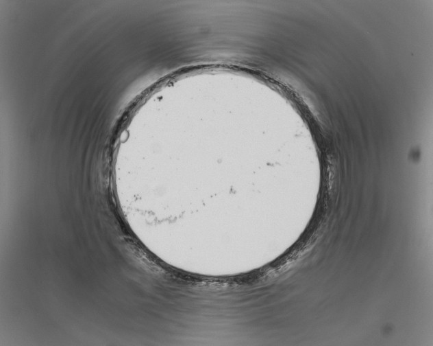 X0000116821069201001291617