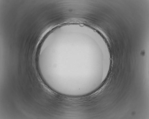 X0000116821075201001291617