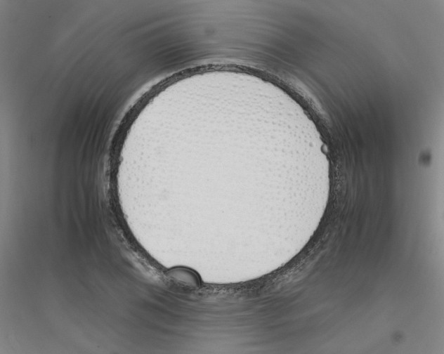 X0000116821076201001291617