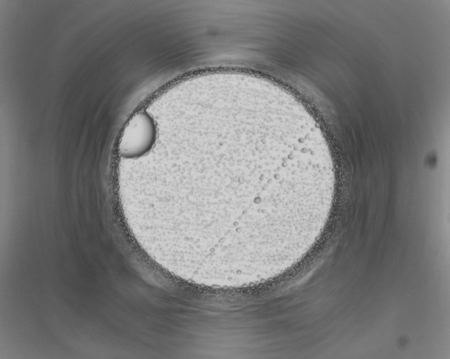 X0000116821077201001291617