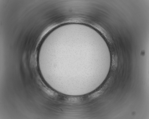 X0000116821078201001291617