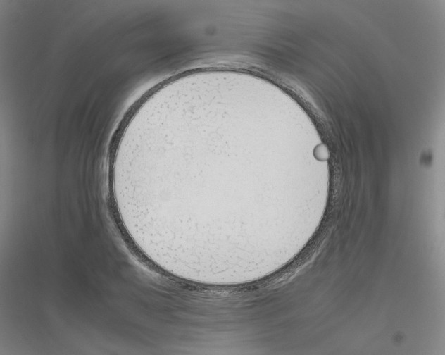 X0000116821079201001291617