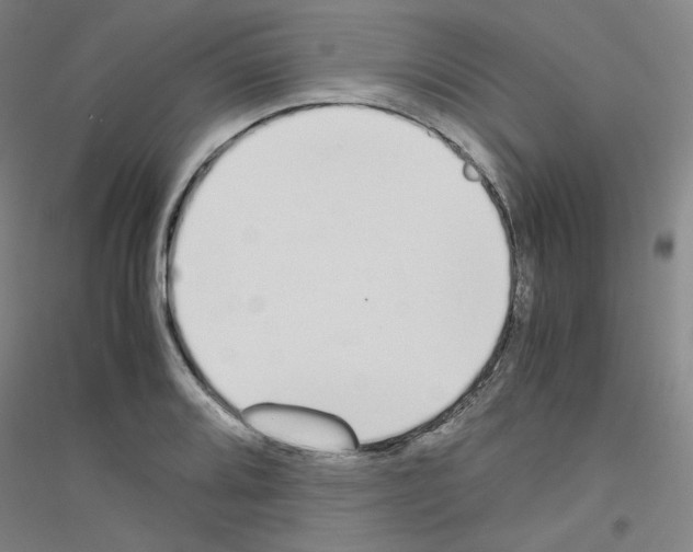 X0000116821080201001291617