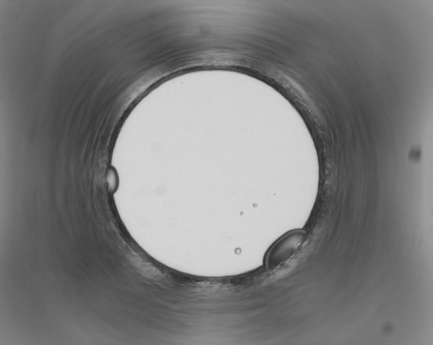 X0000116821081201001291617