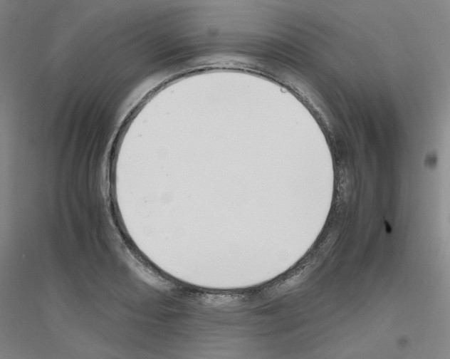 X0000116821082201001291617