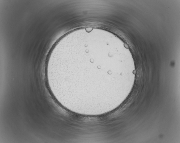 X0000116821083201001291617