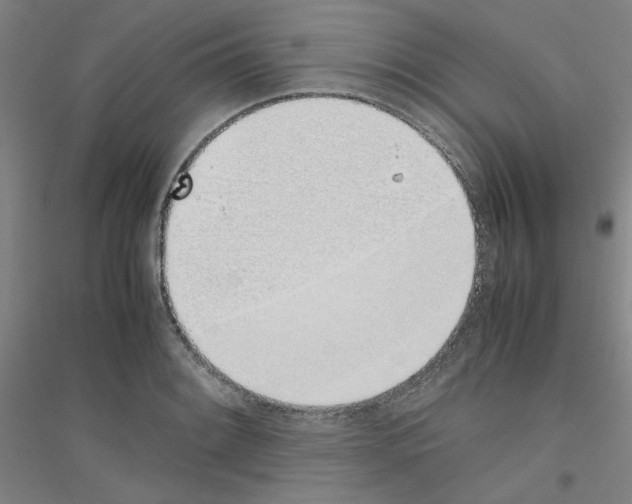 X0000116821084201001291617