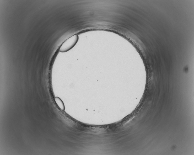 X0000116821085201001291617