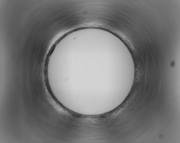 X0000116821086201001291617