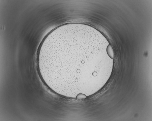 X0000116821087201001291617