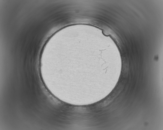 X0000116821088201001291617