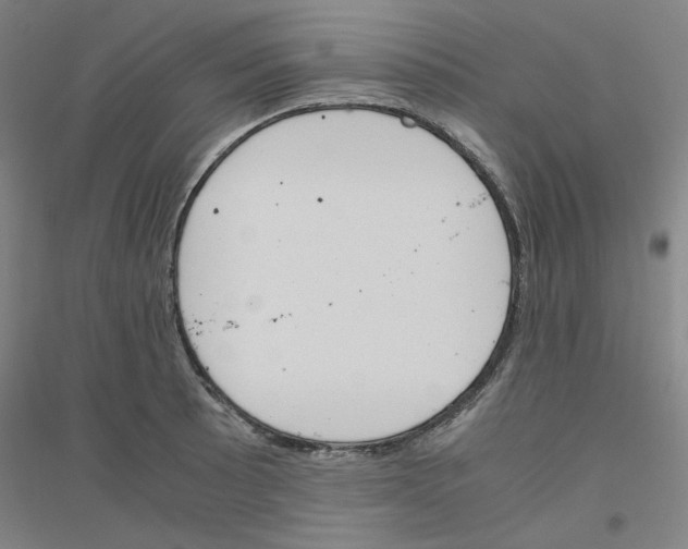 X0000116821089201001291617