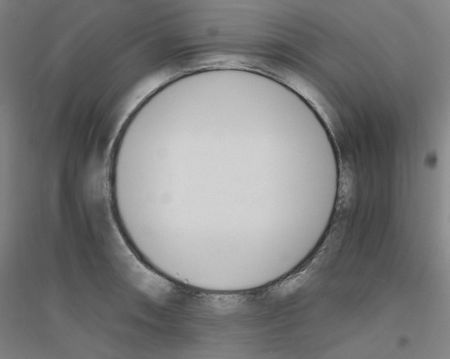 X0000116821090201001291617