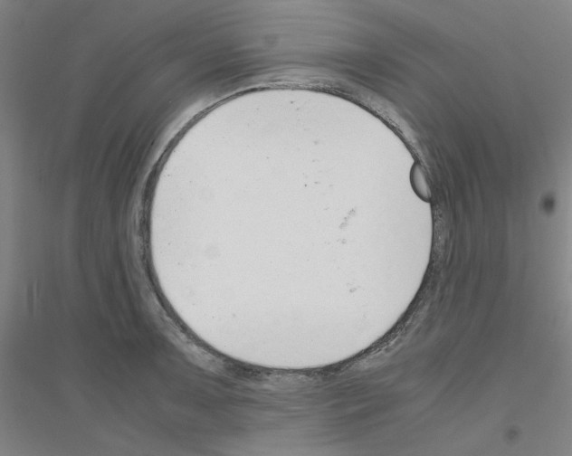 X0000116821091201001291617