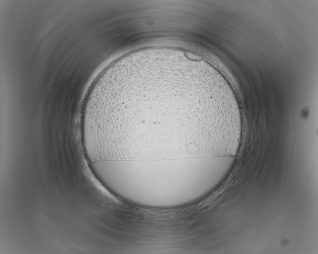 X0000116821092201001291617