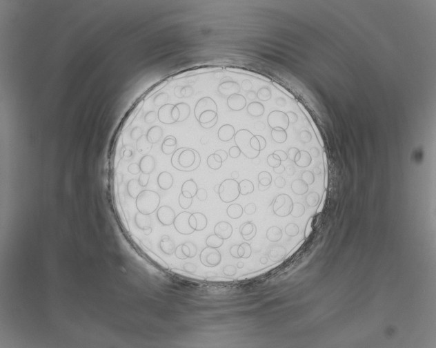 X0000116821095201001291617