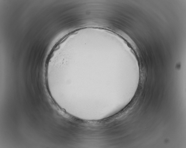 X0000116821096201001291617