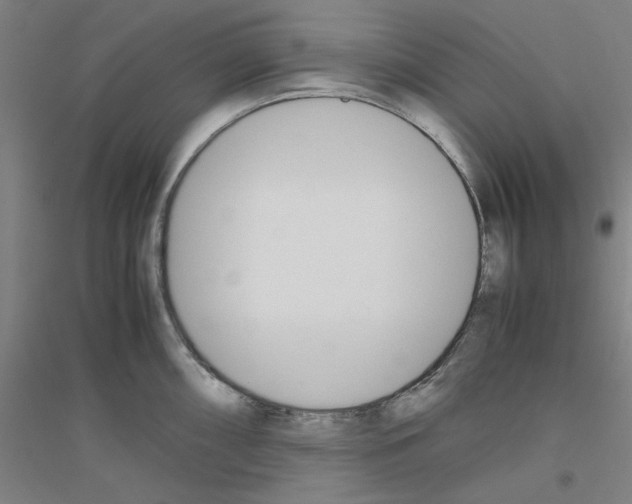 X0000116821098201001291617