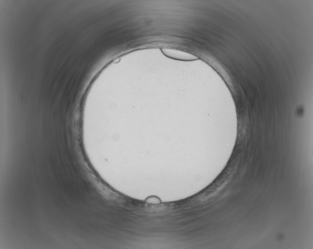 X0000116821099201001291617