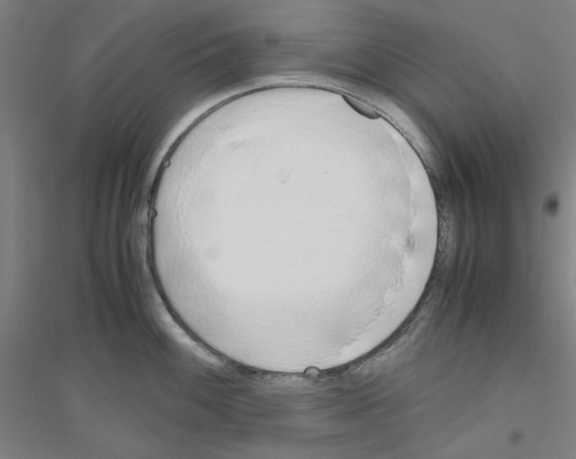 X0000116821100201001291617