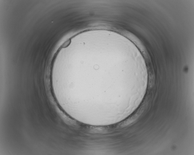 X0000116821101201001291617