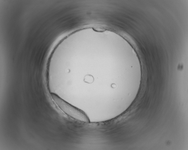 X0000116821104201001291617