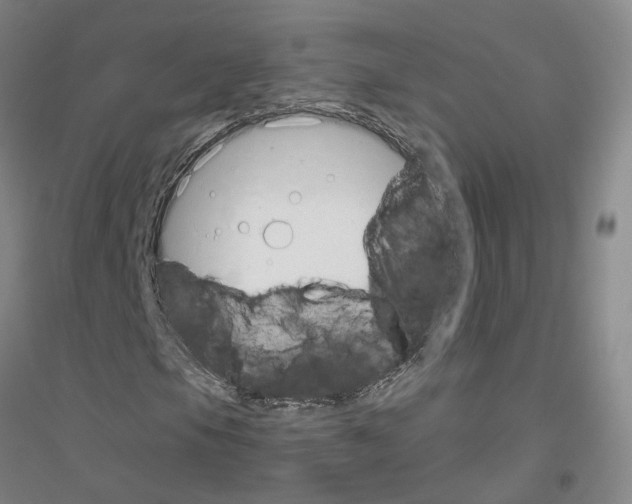 X0000116821105201001291616