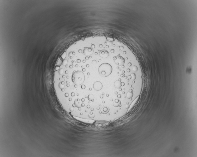 X0000116821106201001291616