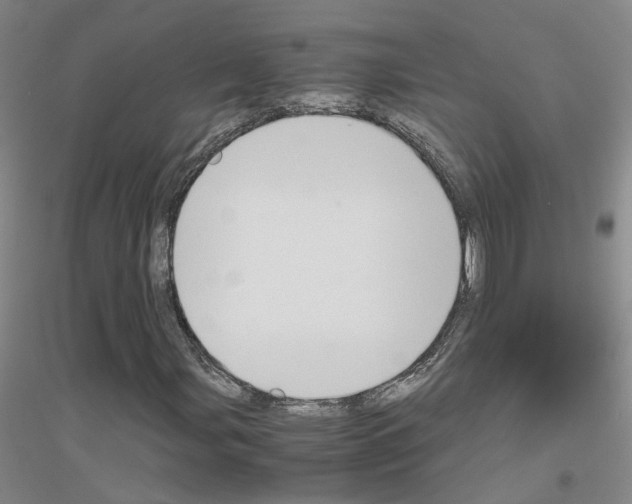 X0000116821107201001291616